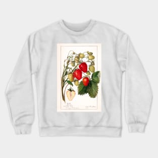 Strawberries (Fragaria) (1912) Crewneck Sweatshirt